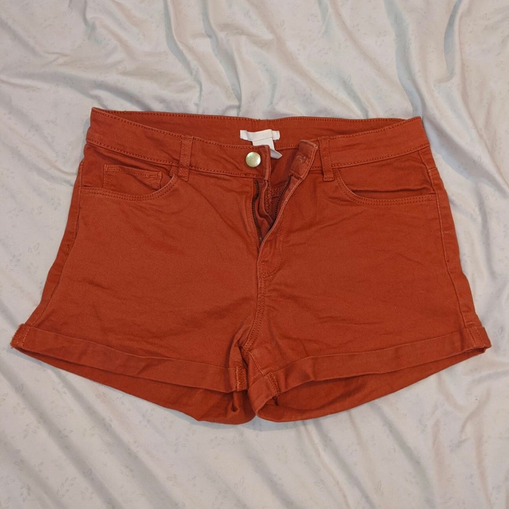 Burnt Orange Somewhat High Waisted Shorts